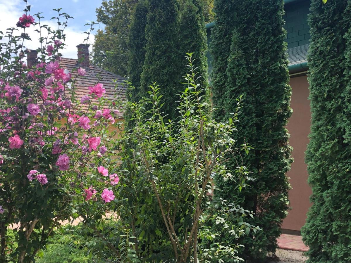 Villa Casa Mia 巴拉通雷勒 外观 照片